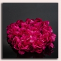Róża główka 12 szt 4 cm Burgund/Purple
